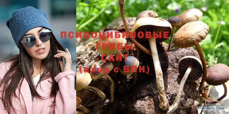 Галлюциногенные грибы MAGIC MUSHROOMS  наркотики  Лангепас 